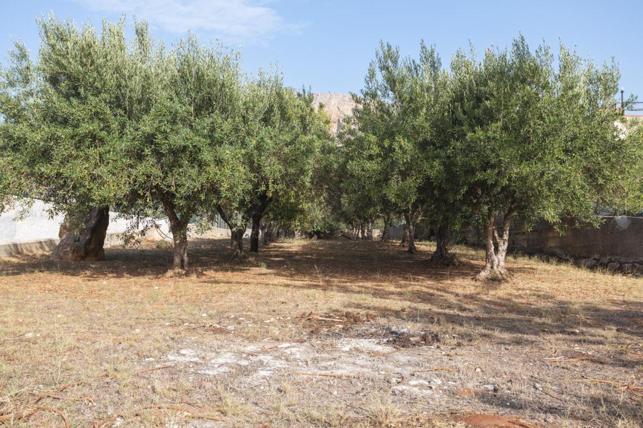 Casa Vista Mare Tra Gli Ulivi Villa Terrasini Kültér fotó